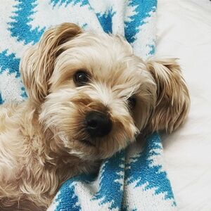 Meet your Posher, Keiser